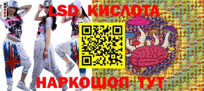 прущие грибы Кандалакша
