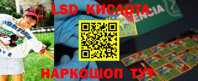 прущие грибы Кандалакша