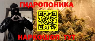 прущие грибы Кандалакша