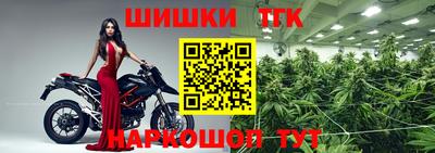 бошки Камышлов