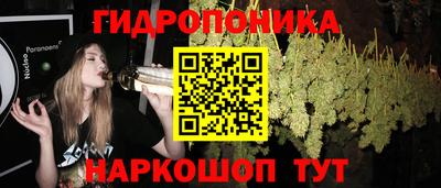 прущие грибы Кандалакша