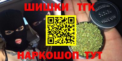 прущие грибы Кандалакша