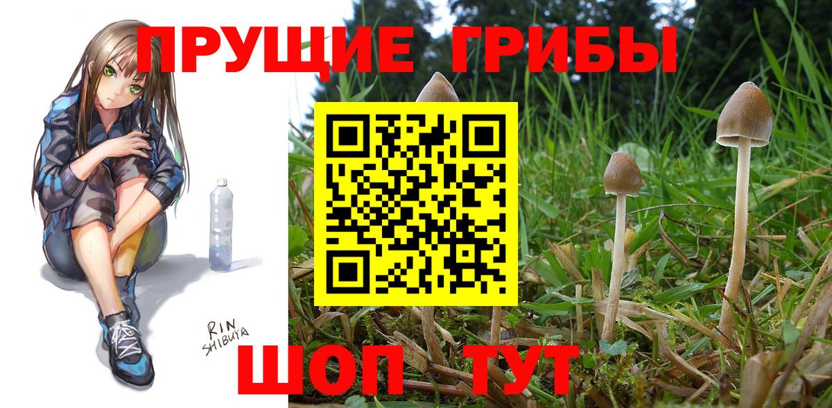 Псилоцибиновые грибы GOLDEN TEACHER Красноуфимск