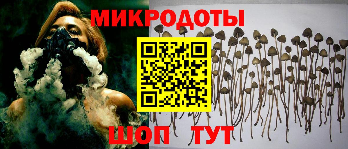 Галлюциногенные грибы Psilocybe  даркнет сайт  Вход с VPN  Красноуфимск  Псилоцибиновые грибы мицелий 